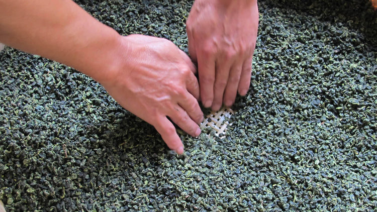 Anxi oolong tea