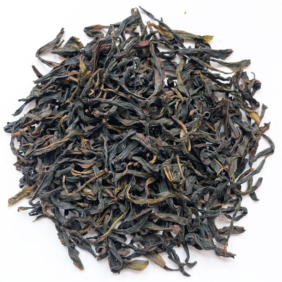 Lao Cong Bei Tou Dancong