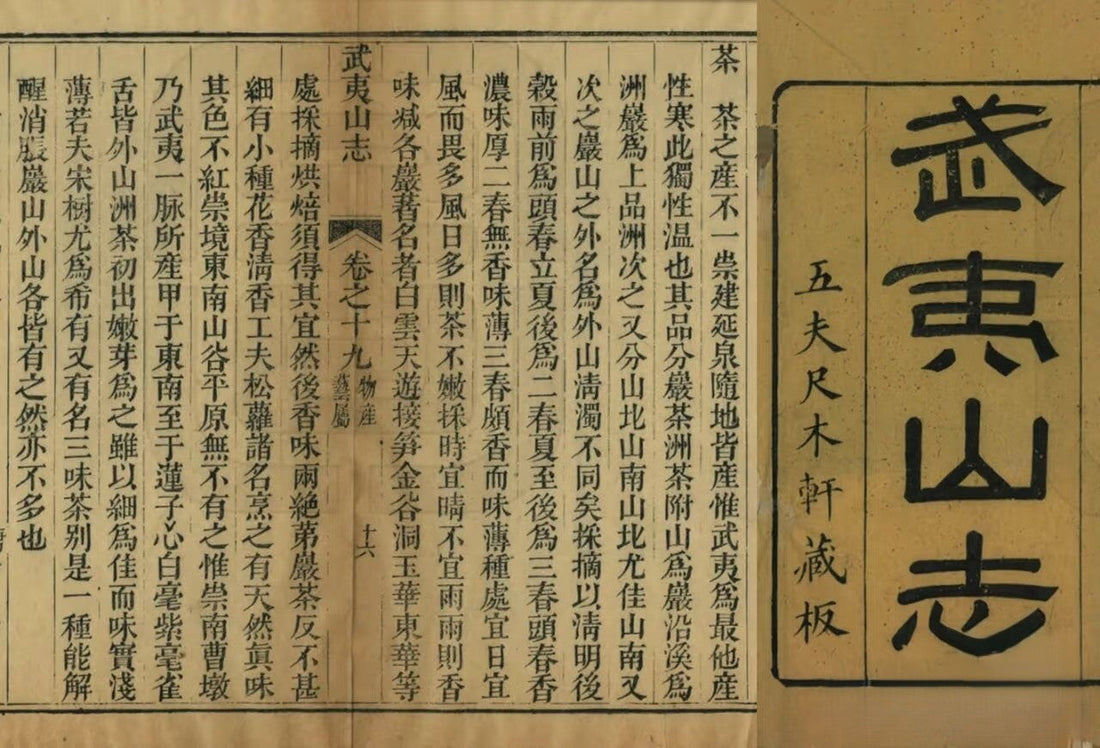 wu yi shan zhi by jing tea shop