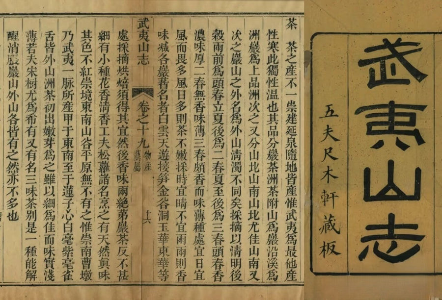 wu yi shan zhi by jing tea shop