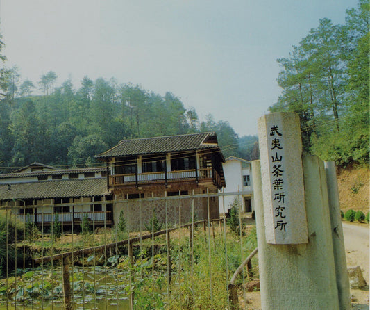 Wuyi Tea researching center by jing tea shop