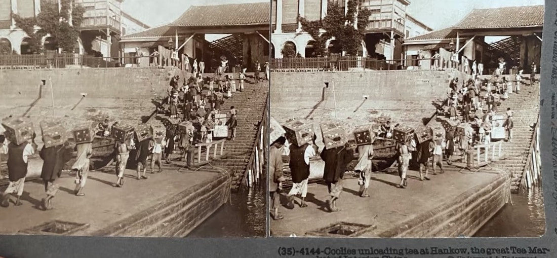 Jing Tea Shop - ancient tea market