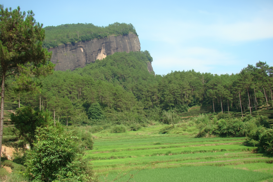 Part 11 : Where Oolong Began — and Why We Can’t Quite Say