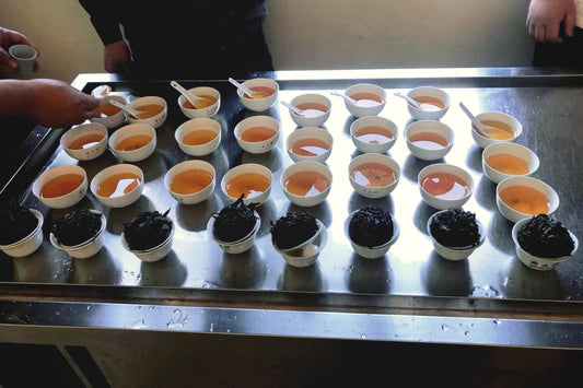 Brewing Chinese oolong tea by Jing Tea Shop