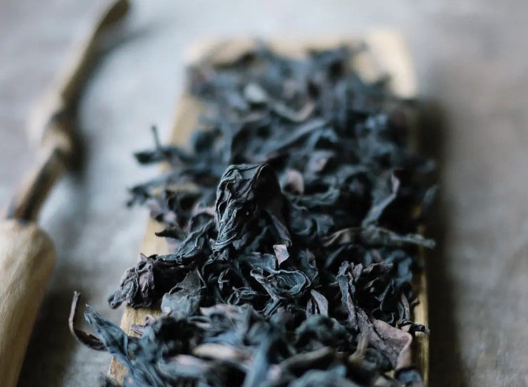 Wuyi oolong tea