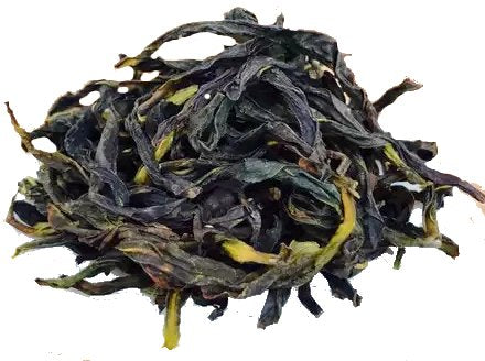Winter Xue Pian Da Wu Ye Dancong