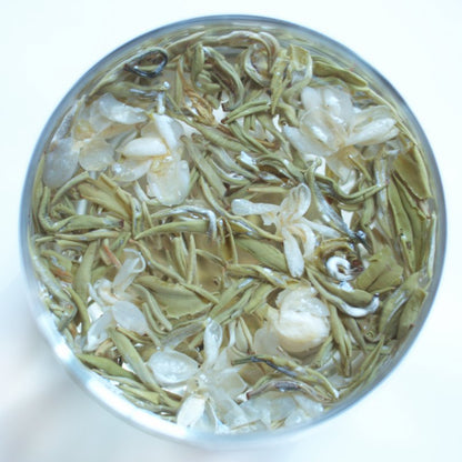 Bi Tan Piao Xue - Jasmine Gan Lu