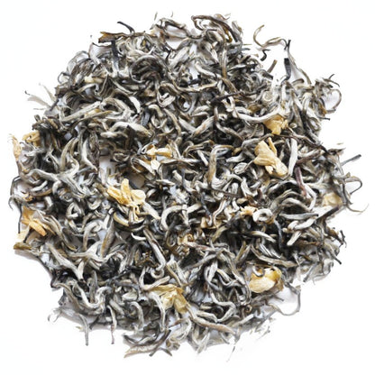 Bi Tan Piao Xue - Jasmine Gan Lu