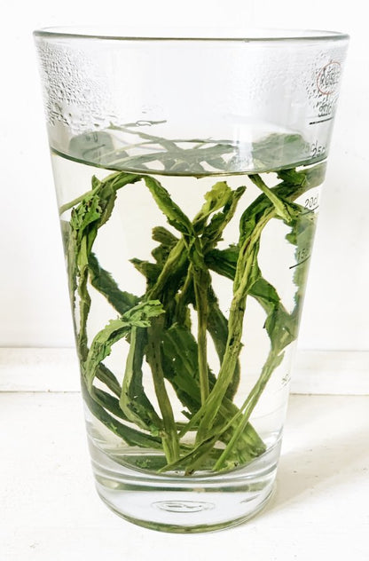 2025 Tai Ping Hou Kui