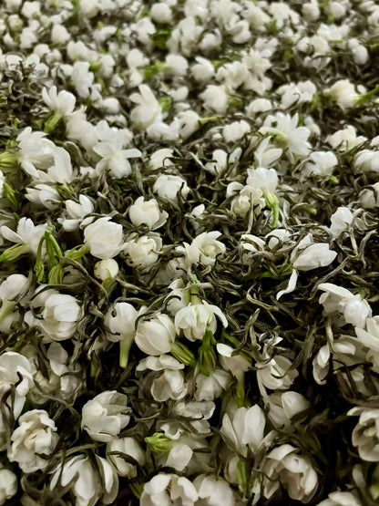 Fuzhou Jasmine Mao Feng