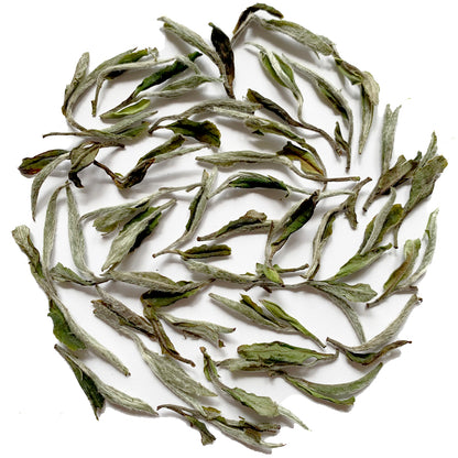 Bai Mu Dan King