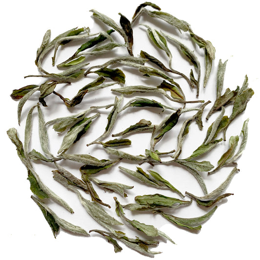 Roi Bai Mu Dan