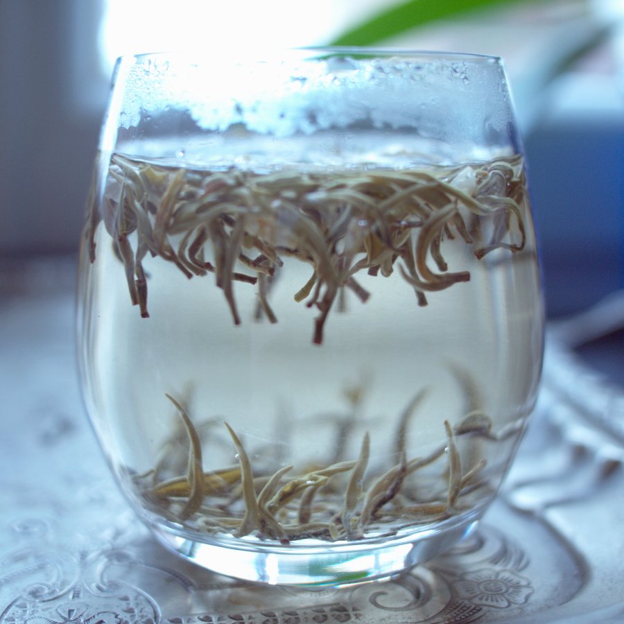 Bi Tan Piao Xue - Jasmine Gan Lu