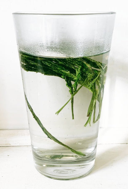 2025 Tai Ping Hou Kui