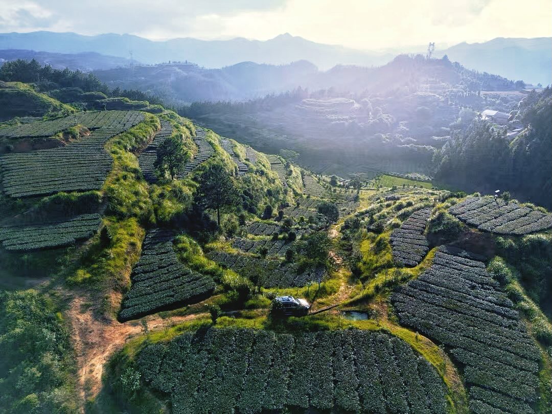 Behind the leaves with Jing Tea Shop - anxi oolong tea views