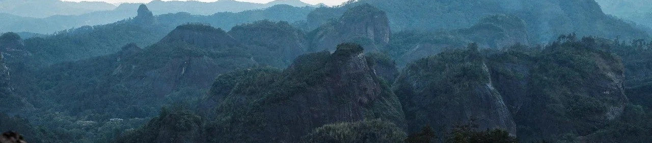 Tea mountain image from Jing Tea Shop