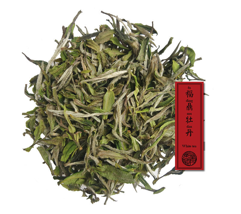 Owner's pick - Ye Fang Bai Mu Dan