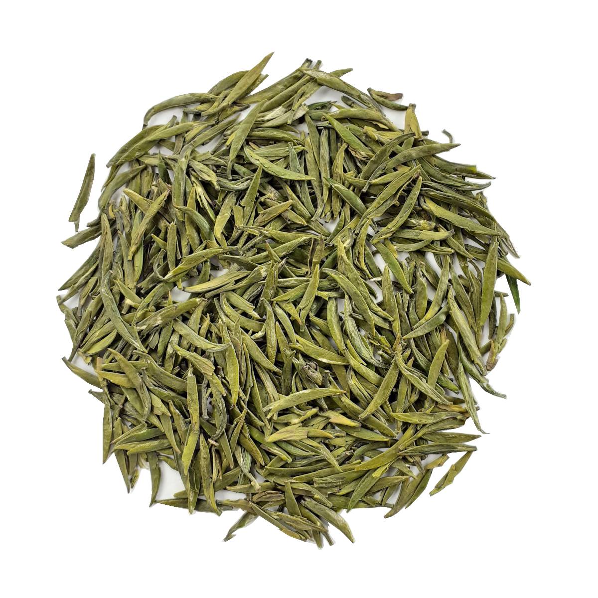 2023 Zhu Ye Qing