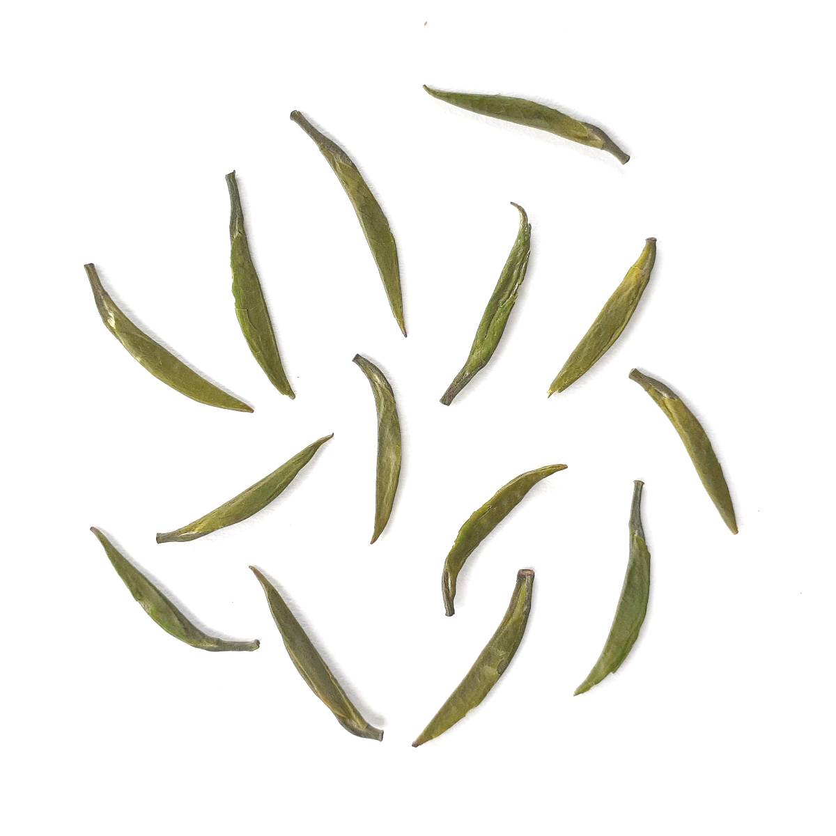 2023 Zhu Ye Qing