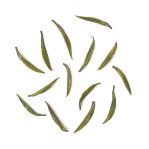 2023 Zhu Ye Qing