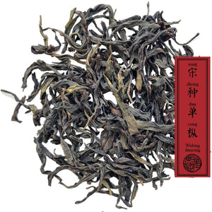 Song Zhong dansant